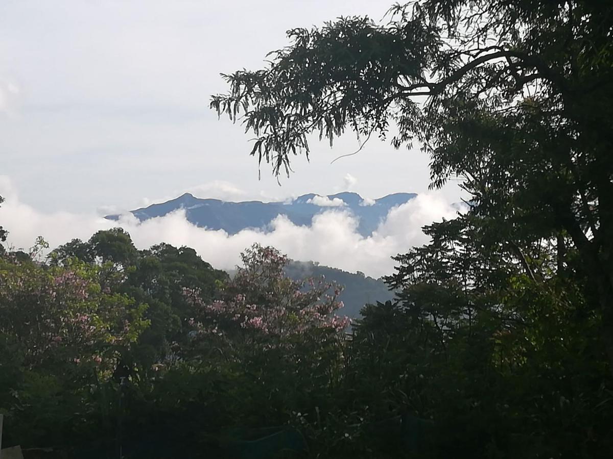 Jungle Tide Bed & Breakfast Kandy Eksteriør bilde