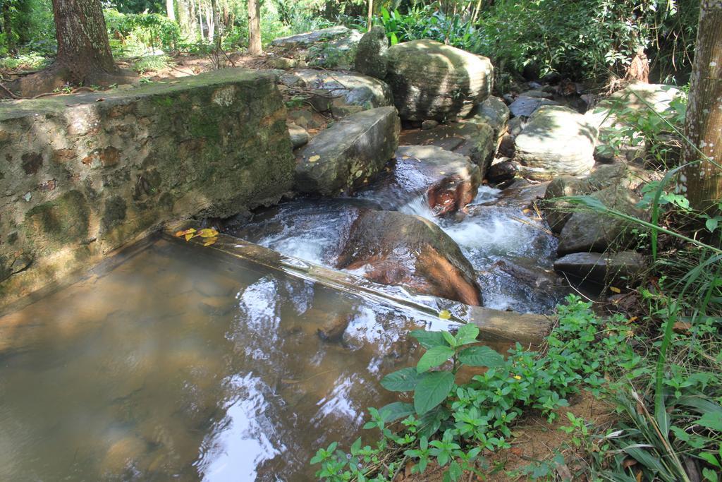 Jungle Tide Bed & Breakfast Kandy Eksteriør bilde