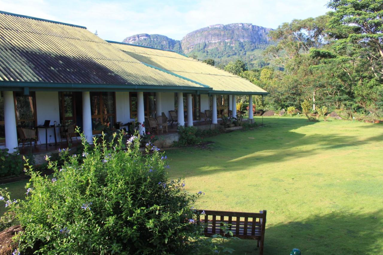 Jungle Tide Bed & Breakfast Kandy Eksteriør bilde