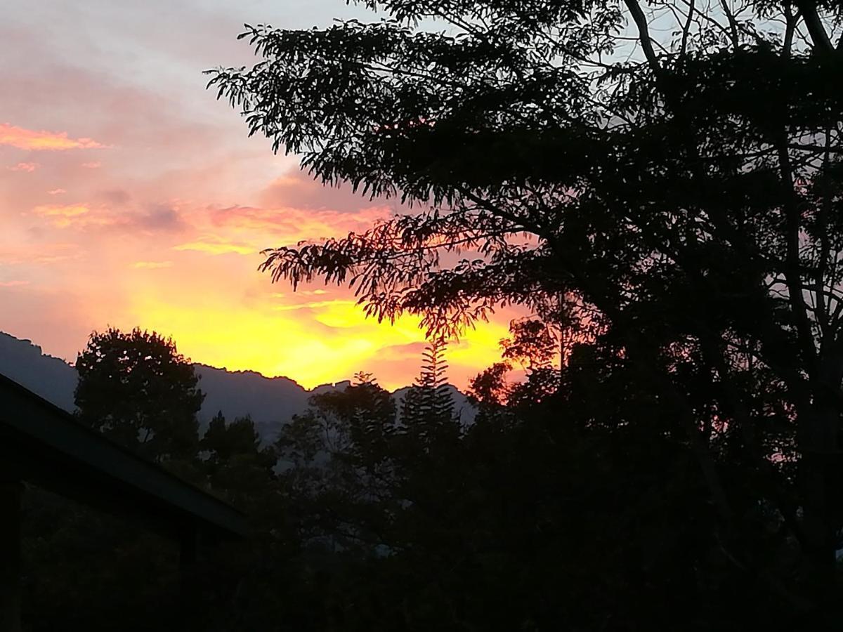 Jungle Tide Bed & Breakfast Kandy Eksteriør bilde